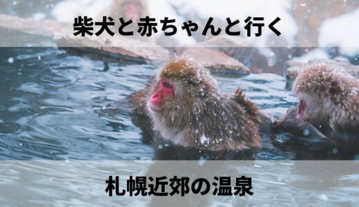 札幌近郊の柴犬と赤ちゃんと行ける温泉宿8選（定山渓・登別・洞爺湖）